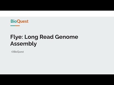 Flye: Long Read Genome Assembly Tool