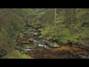 Landschaftsfotografie | Höllfall im Waldviertel