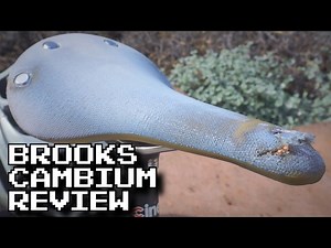 Brooks C17 Cambium: 2 Year Review