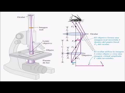 Microscopio y Telescopio