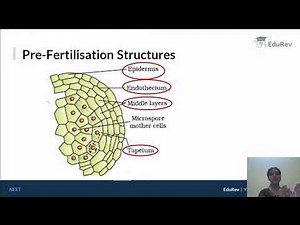Pre-Fertilisation Structures and Events Video Lecture | Biology Class 12 - NEET