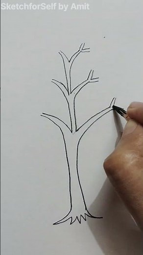 Simple Tree Drawing for Beginners Step by Step