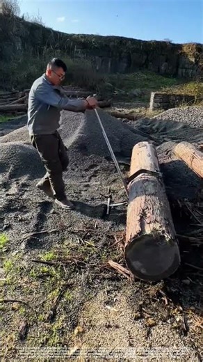 Homemade log lever (lever principle)