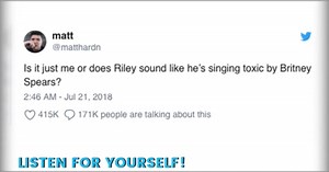 This Howling Dog Sounds Like He's Singing Britney Spears' Toxic — Watch the Video!