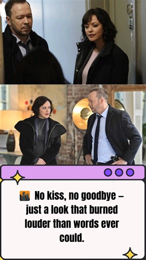 Blue Bloods Finale: Why Baez Wasn’t At The Last Reagan Family Dinner | Blue B Love Fan
