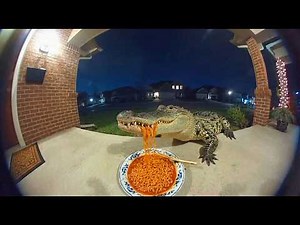 Predators Reacting to Spicy Noodles on Ring Cam | Funny CCTV Compilation