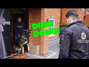 I Bought An Uzi To Protect My Family | Ep1