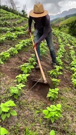 Technique for leveling sand with simple tools