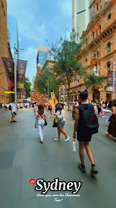Sydney’s Biggest Christmas Tree #christmastree #landmark #sydney #sydneylife #fypviralシ #followerseveryonehighlights #friendsfollowersViewers | Sydney Pulse