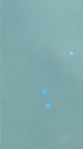 【海の宝石】ウミホタルの正体はエビの仲間？青く光る仕組みや見れる時期・場所を徹底解説！