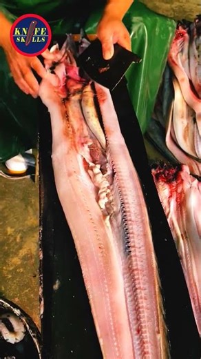 Knife Skills - Professional video fish cutting skills sashimi and sushi food #video #skills #fish