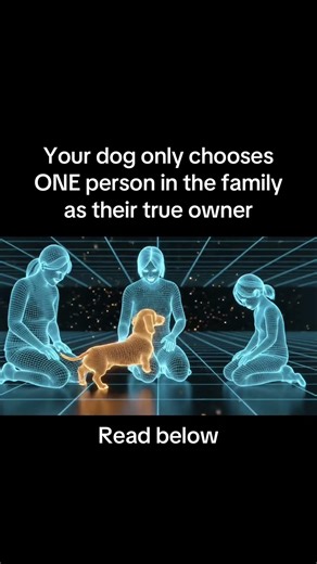 Your dog only chooses ONE person in the family as their true owner