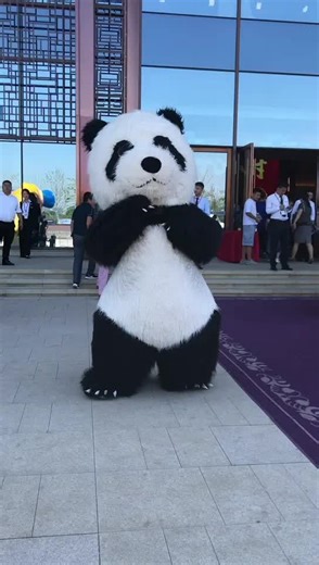 Cute Big Dancing Panda Doll | Funny Panda Dance Video