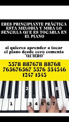 APRENDE A TOCAR EL PIANO DESDE CERO 🎹 #aprenderpiano #piano #pianosol #musica #pianotutorial