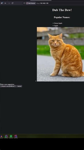 Cross Site Scripting Attacks In Action #shorts #programming #viruss #cybersecurity #webdevelopment