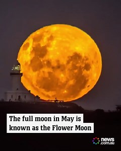 4.9K views · 238 reactions |  Some Australians were in for a treat with a clear skies while the Flower moon made an appearance. And if you missed it don't worry a very talented photographer Luke Taylor shared this timelapse via storyful. | Jason Wood MP | Facebook