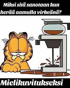 Miksi sitä sanotaan, kun herää virkeänä aamuun?🤔