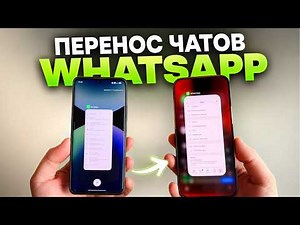 How to transfer WhatsApp chats from Android to iPhone in minutes!