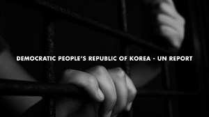 7.3K views · 480 reactions | #NorthKorea: Analysis of interviews with...