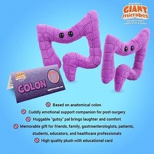 Giantmicrobes Colon Plush, Get Well Gifts, Colon Cancer Awareness, Anatomical Organ Plush, Biology Gifts, IBS Warrior, Intestine Plush - Etsy