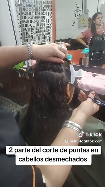 Corte de Puntas para Cabello Desmechado: Paso a Paso