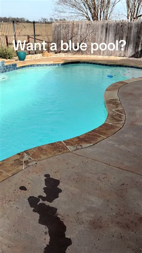 Want a blue pool? DONT DO WHAT THIS HOMEOWNER DID! #pooltok #satisfying #pool #diy #clean