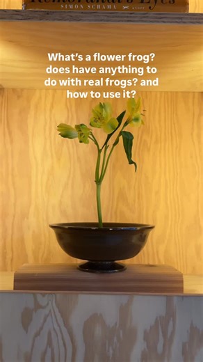 Happy Medium on Instagram: "What is a flower frog? 🐸 answering all of your burning questions about this today 💓"