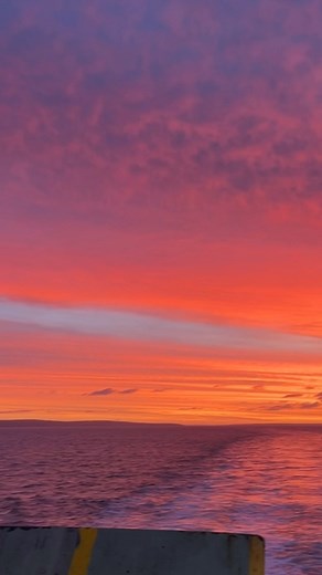 Check out this cracking sunset off the Sealink Ferry going between Kangaroo Island and the mainland. Far out South Australia, you are simply STUNNING 😍 SeaLink Kangaroo Island Video credit Tamara Bakker 📸 | Cosi Andrew Costello