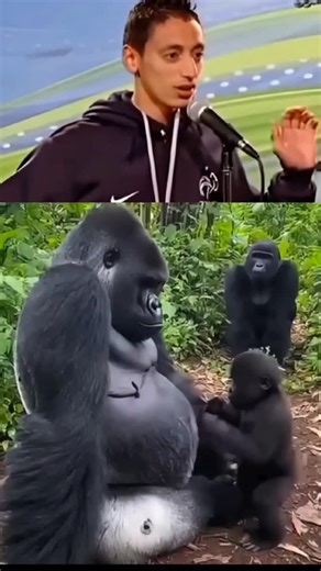 Nikhil comedy on Instagram: "#tweening"