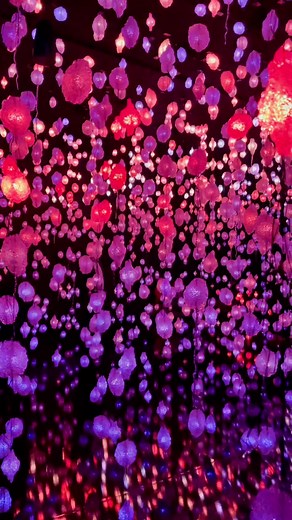 Andreea B. on TikTok