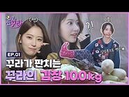 ✨ 사쿠라의 행복한 시간....은 무슨! 배쮸 김장 100KG 도전 │ -겁도 없꾸라- EP.01