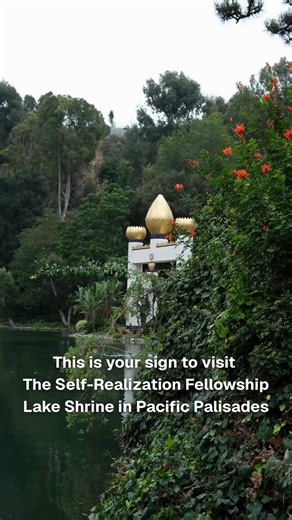 Looking for a beautiful place to relax, tune out the chaos, and recenter yourself? Look no further. The Self-Realization Fellowship Lake Shrine Meditation Gardens in Pacific Palisades have reopened, offering space for healing, reflection, and quiet strength. “It is our hope,” shares Brother Satyananda, “That the Lake Shrine can offer comfort and healing during this time of recovery.” The outdoor Meditation Gardens are now open by reservation. Other areas of the property, including the Windmill C