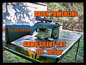Daisy Powerline 1101S shooting GAMO silent cat