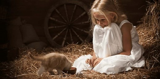 L'esprit des vacances à la ferme avec des animaux