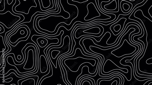 Abstract topography white stripes background motion loop footage video with geo map pattern, best for motion graphics and design projects, fractal lines background, Moving waves on black background 4k
