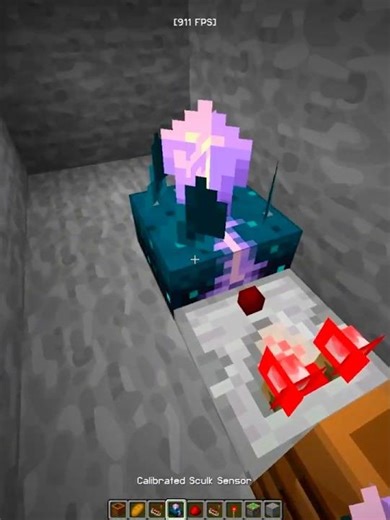 Minecraft Sensor Door 💀