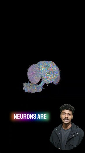 I Made a Virtual Fly Play Games Using Its Brain 🧠🪰 #codingart #cellularautomata #computerart