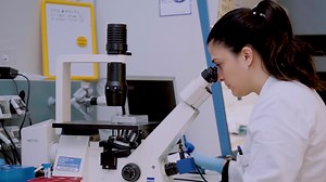 3D Multicolor DNA FISH Tool to Study Nuclear Architecture in Human Primary Cells