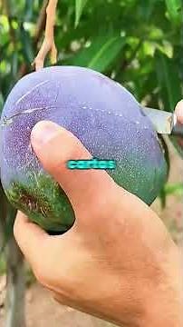 My dad beat me and disinherited me on my 18th birthday for raising my voice to my golden brother.