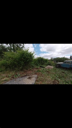 Classic Volkswagen Barn Find - digging an Oval Beetle out of a field. Part 50 | The Late Brake Show