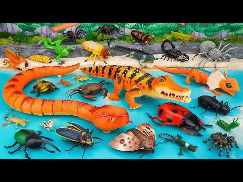 123 Mins ZURU Robo Alive Insects ASMR 🦎 Tachan Snake, Crocodile, Lurking Lizard