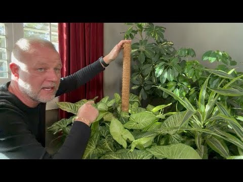 Helps Support Unruly Vines! 2 Pack 17 Inch Moss Pole, Stackable Moss Poles for Climbing Plants Monst