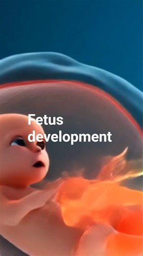 DEVELOPMENT OF HUMAN TINY FETUS IN THE WOMB #pregnancy #baby #anatomy