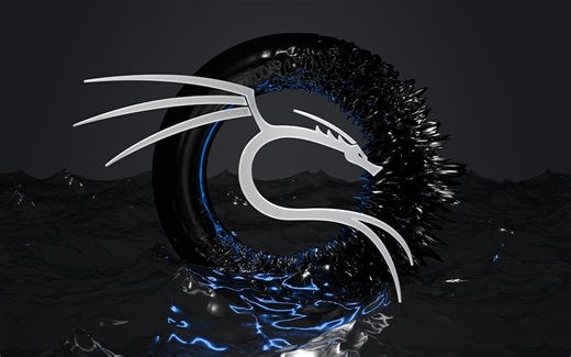 Kali Linux 2024.3完整安装|B站首发