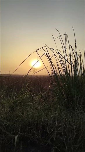 Jo meri ruh ko chain de pyar de