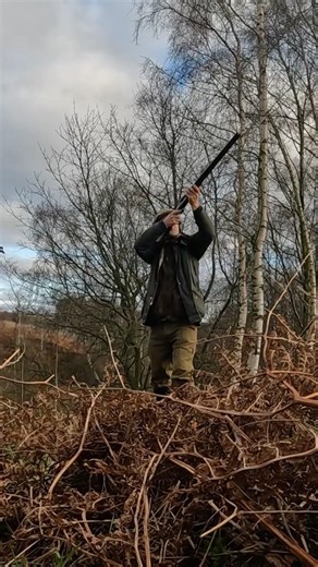 You can't hit them all !