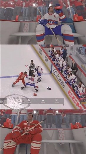 Gordie Howe Fights Larry Robinson For Huge Hit