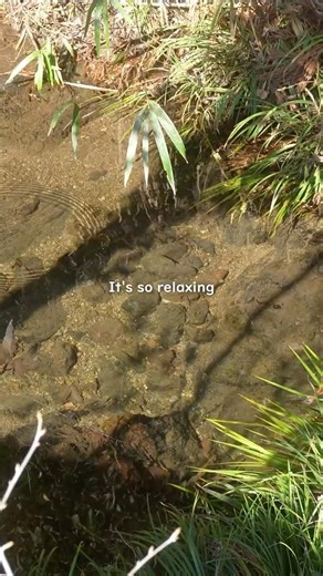 Saitama, near Tokyo🌿Mt. Hiwada Hike (02)🗻Just the right level of crowding