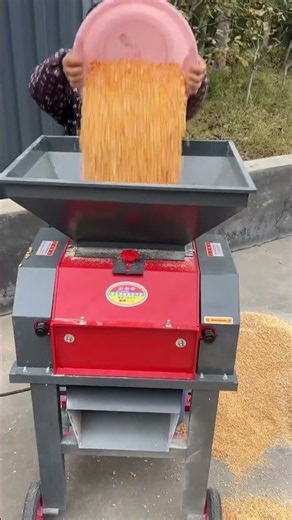 Amazing Grain Processing Machine 🌾 | Fast & Powerful Corn Cleaning Technology!#GrainProcessing