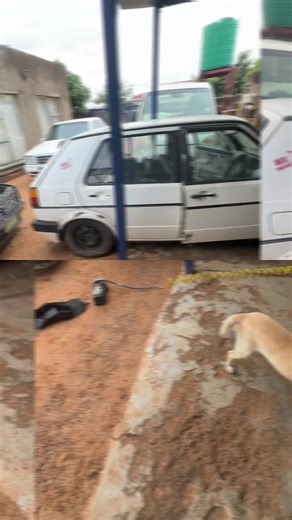 Believe in Your Project Car Journey